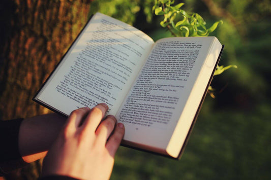 Hands of a reader holding an opened book next to a tree