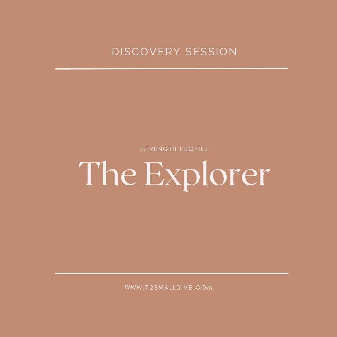 Brown background with white text 'The Explorer' and website URL.