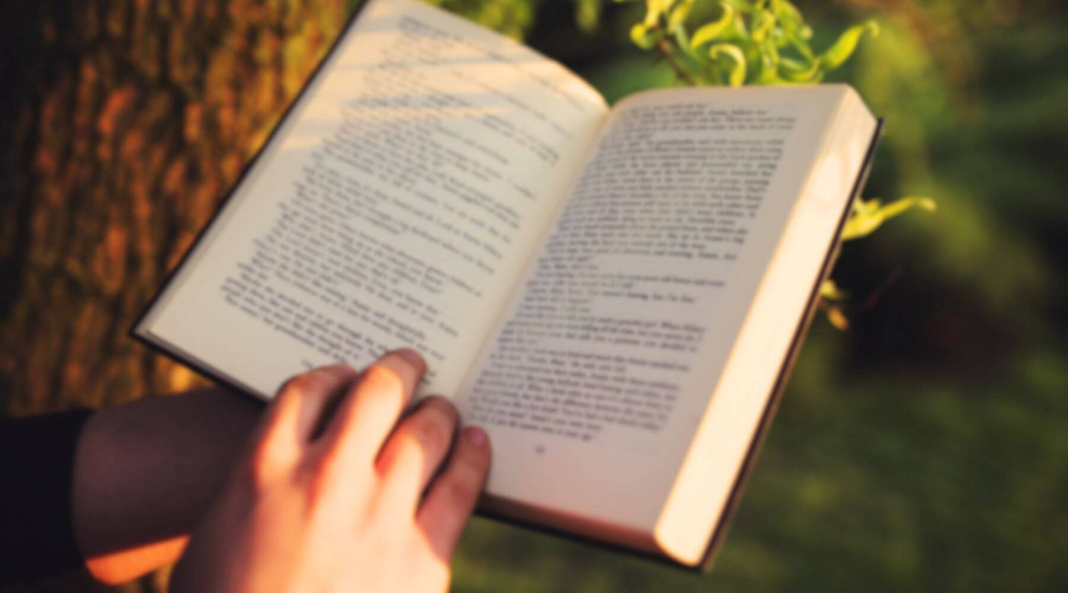 Hand holding a book in a park 